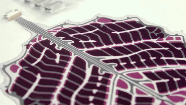 Solar Power from energy-harvesting trees