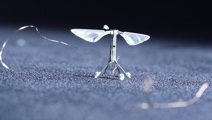 Tiny, Robotic Bees could change the World