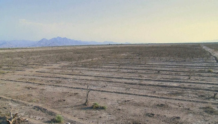 Technology providing Solutions to Combat Drought