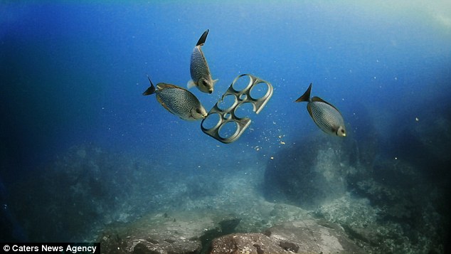 Edible Ring binders for Beer cans could save Marine Life