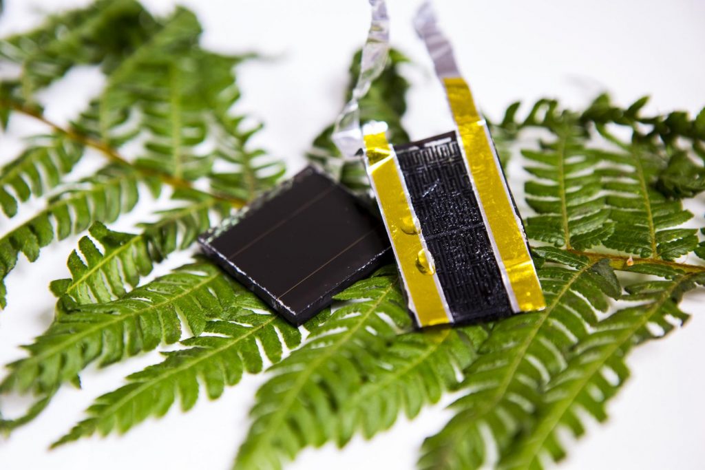 Bio-inspired Energy Storage: A New Light for Solar Power