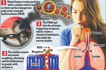 Revealed: Diesel Fumes are proven for the first time to Cause Coughing and Shortness of Breath