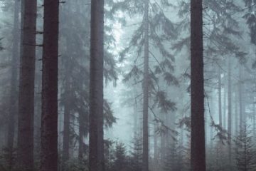 We Can Curb Climate Change. Here’s Where We Start
