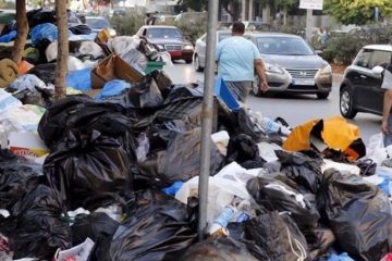 This could be the Living, Breathing, Walking answer to the World’s Plastic Problem