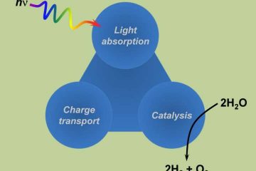 Research Explores ‘Artificial Leaf’ System for Solar Fuel Production