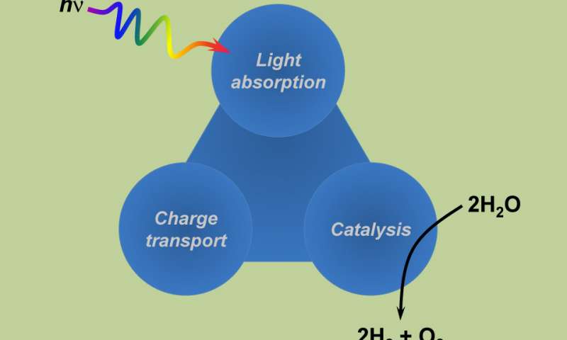 Research Explores ‘Artificial Leaf’ System for Solar Fuel Production