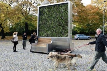 CityTree: An Urban ‘Organism’ That Purifies As Much Air As A Small Forest