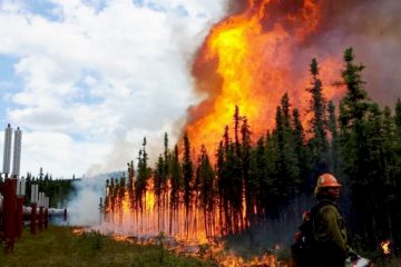 The Most Powerful Evidence Climate Scientists have of Global Warming