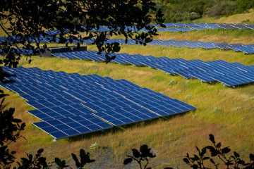 The UK’s Biggest Solar Farm could be built Sans Government Help