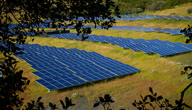The UK’s Biggest Solar Farm could be built Sans Government Help
