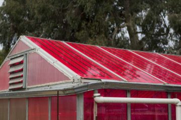 Solar Greenhouses generate Electricity and Grow Crops at the same time