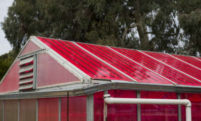 Solar Greenhouses generate Electricity and Grow Crops at the same time