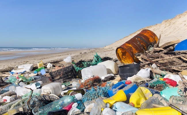 8.3 Billion Reasons to Break Free From Plastic