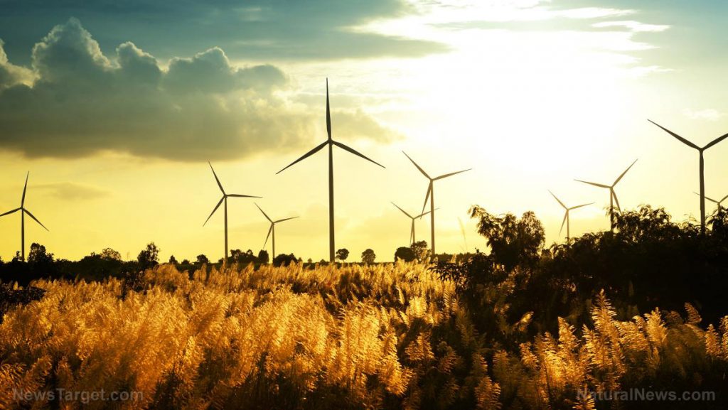 Renewable Energy in the U.K. Generated triple the amount of Power from Coal in 2017, Study Reveals