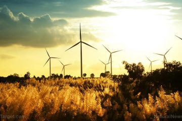 Renewable Energy in the U.K. Generated triple the amount of Power from Coal in 2017, Study Reveals