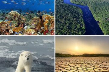 One of the Best Ways you can help the Environment