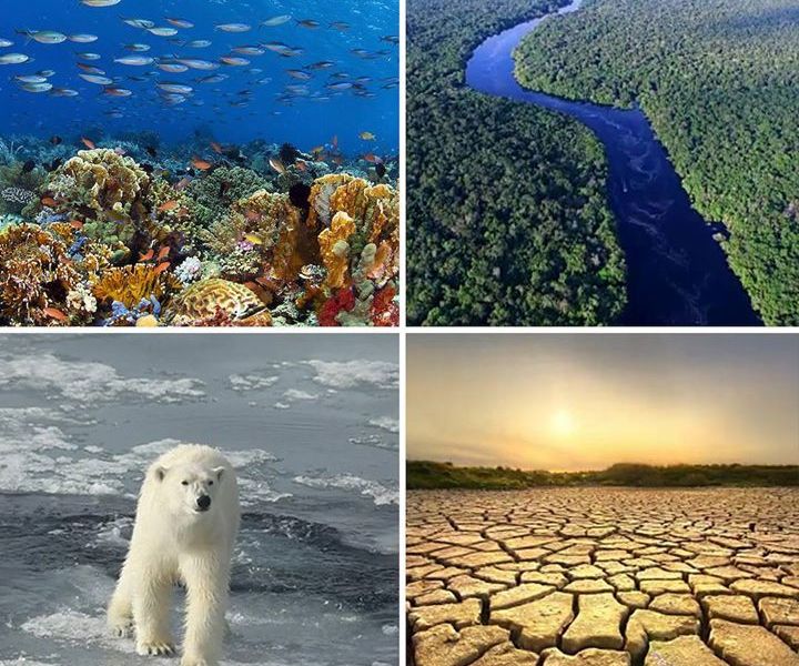 One of the Best Ways you can help the Environment
