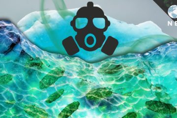 How Global Warming is Awakening Deadly Diseases