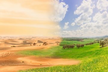 Watch This New Technology in China that converts Desert into Productive Land Rich with Crops