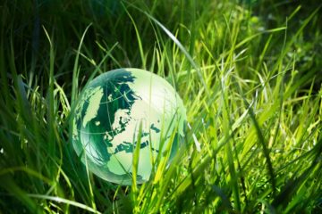 How can we Create a more Sustainable Future?