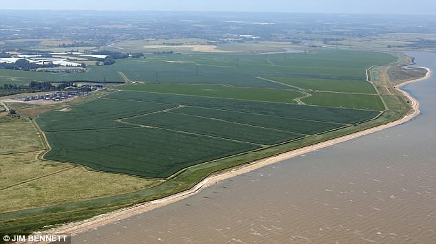 Tycoon Elon Musk ‘to build the world’s biggest battery’ in Britain as part of £400m plans to carpet