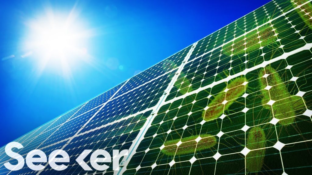 Scientists’ crazy Plan to Power Solar Panels with E. Coli