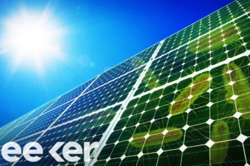 Scientists’ crazy Plan to Power Solar Panels with E. Coli