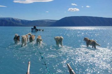   Greenland loses 2 Billion tons of Ice in 1 Day