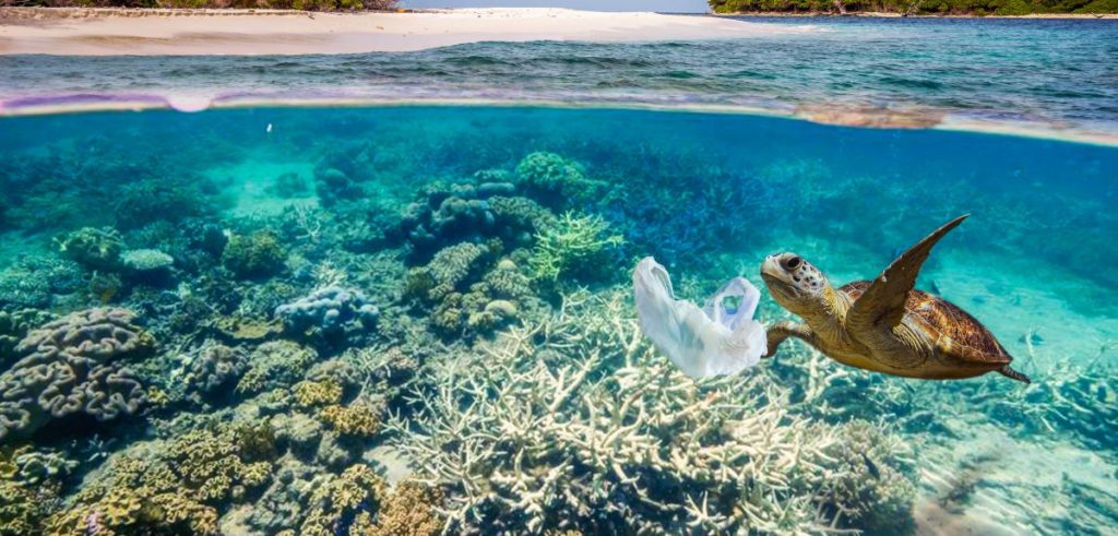 This is why the Ocean is key to protecting our Planet against Climate Change