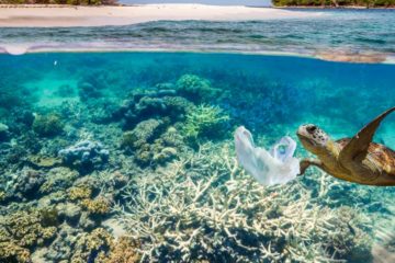 This is why the Ocean is key to protecting our Planet against Climate Change