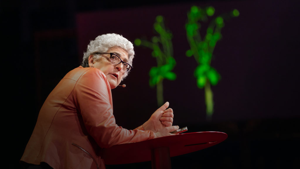 How supercharged Plants could slow Climate Change