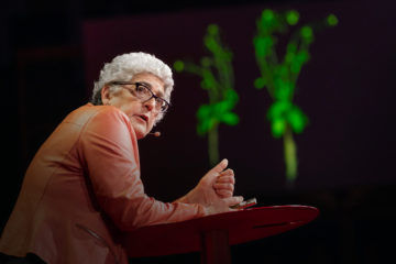 How supercharged Plants could slow Climate Change