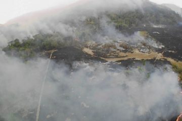 Why the Amazon Rainforest is Burning