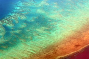 Great Barrier Reef is starkest example of Climate Change