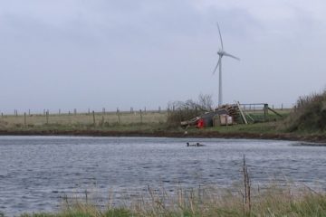 Why is Scotland leading the UK in Renewable Energy?