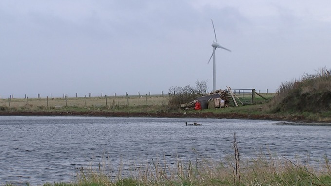 Why is Scotland leading the UK in Renewable Energy?