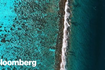 The Green Tech Bringing Life Back to the Sea