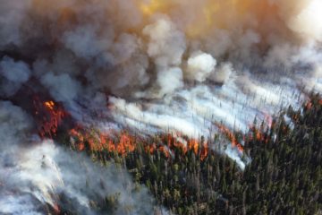 What to do about Climate Change and why?