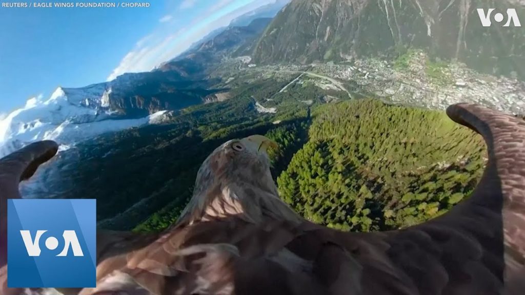Eagle Mounted Camera to show Effect of Climate Change on Alps Glacier Reduction