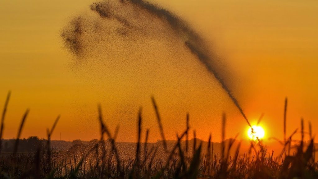 UN report warns Climate change could disrupt global food chain