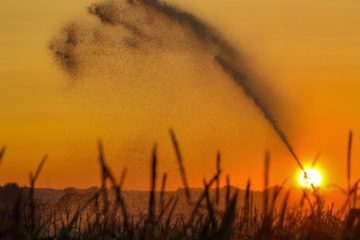UN report warns Climate change could disrupt global food chain