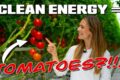 Clean Energy Tech Is Changing the Way We Grow Food..!