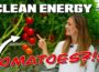 Clean Energy Tech Is Changing the Way We Grow Food..!