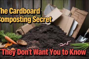 The Cardboard Composting SECRET They Don’t Want You to Know