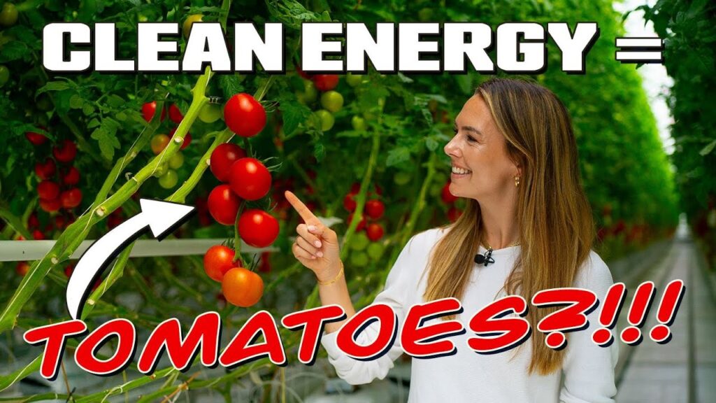 Clean Energy Tech Is Changing the Way We Grow Food..!