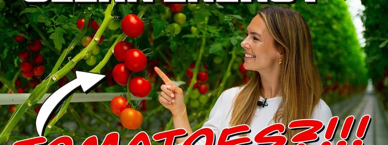 Clean Energy Tech Is Changing the Way We Grow Food..!
