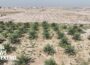 Why the planet is drying out much faster than before, according to a new study