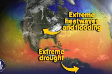 El Niño monsters are coming – more regular, more predictable and more devastating.